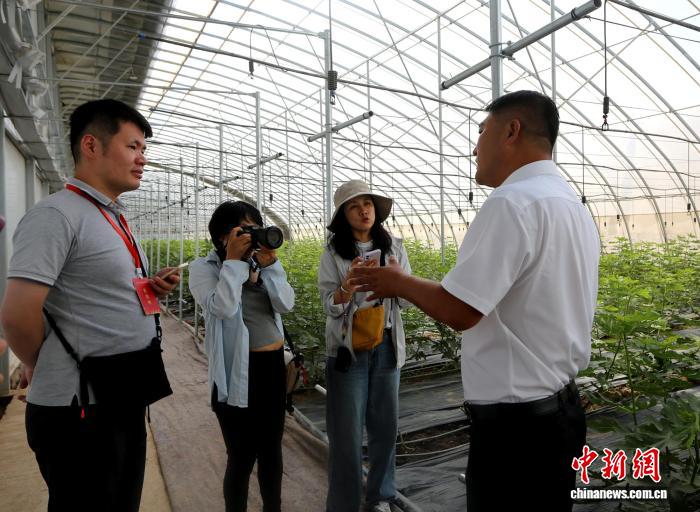 无码人妻少妇色欲AV一区二区