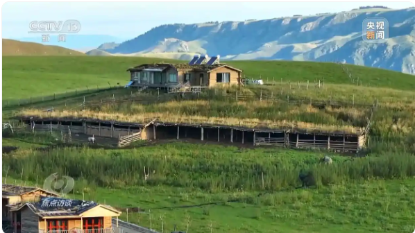 无码人妻少妇色欲AV一区二区