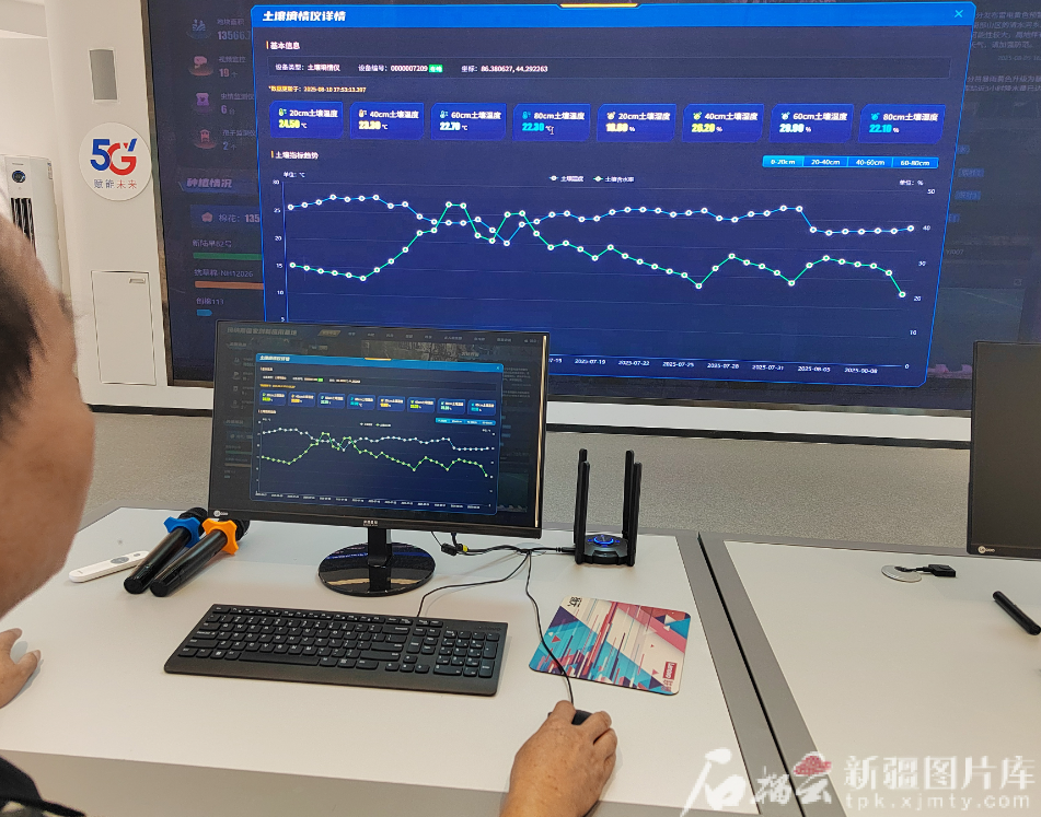 无码人妻少妇色欲AV一区二区