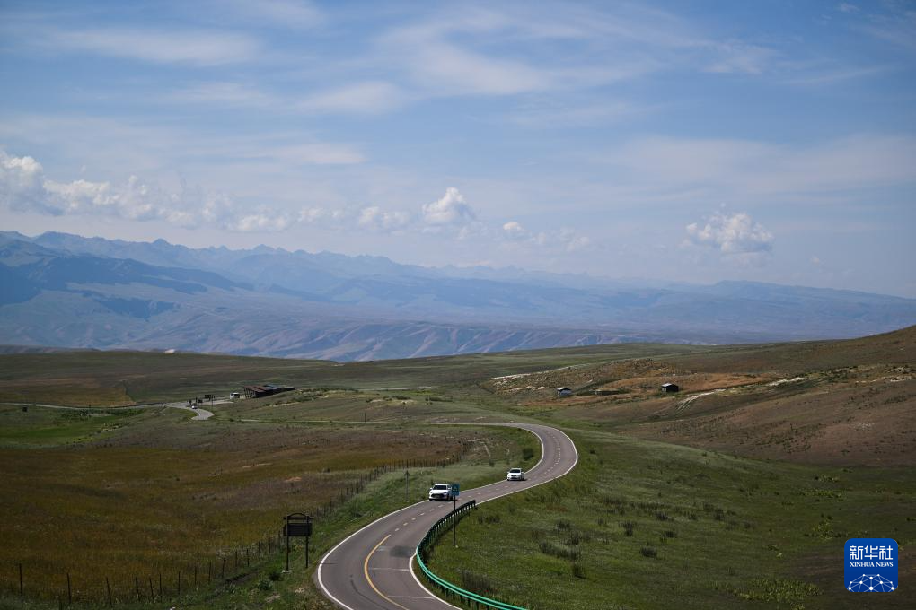 无码人妻少妇色欲AV一区二区