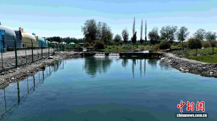 无码人妻少妇色欲AV一区二区