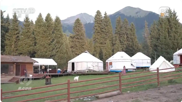 无码人妻少妇色欲AV一区二区