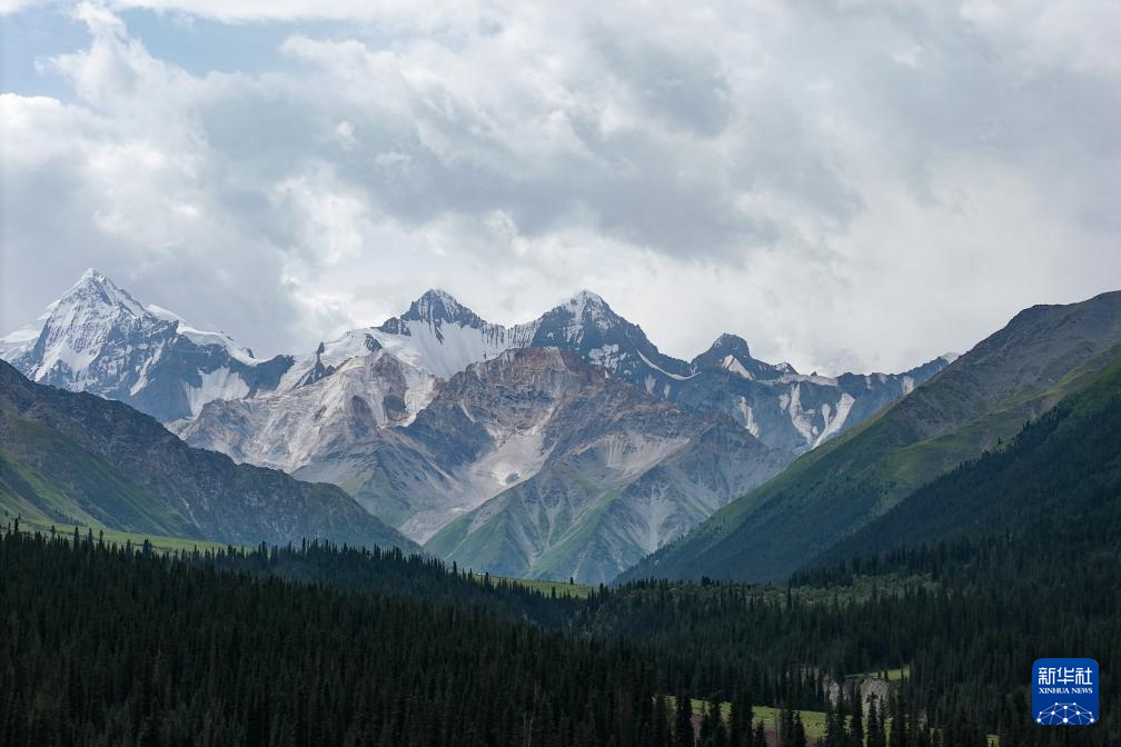 无码人妻少妇色欲AV一区二区