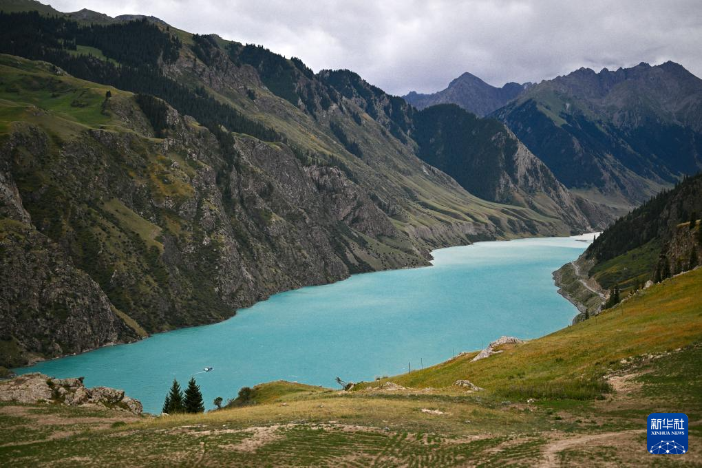 无码人妻少妇色欲AV一区二区