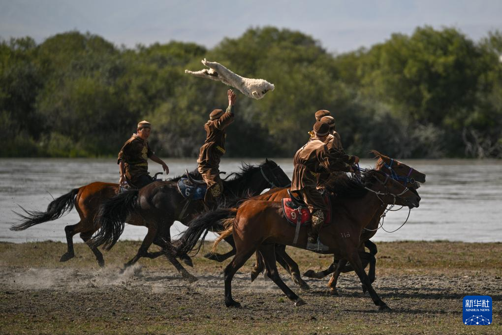 无码人妻少妇色欲AV一区二区
