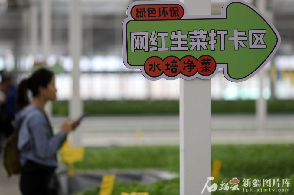 无码人妻少妇色欲AV一区二区