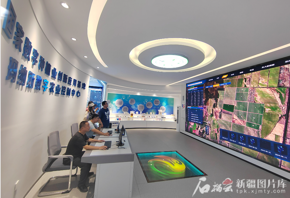 无码人妻少妇色欲AV一区二区