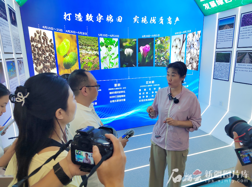 无码人妻少妇色欲AV一区二区