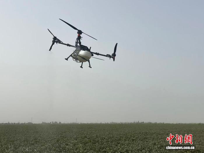 无码人妻少妇色欲AV一区二区