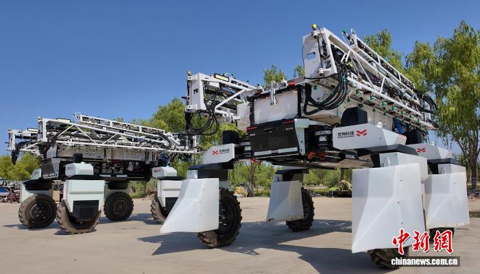 无码人妻少妇色欲AV一区二区