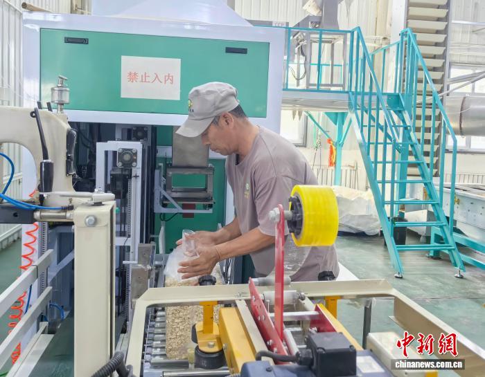 无码人妻少妇色欲AV一区二区