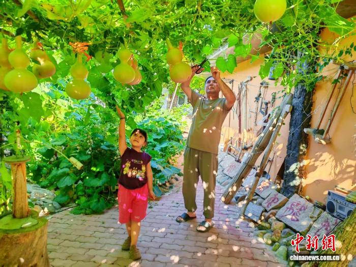 无码人妻少妇色欲AV一区二区