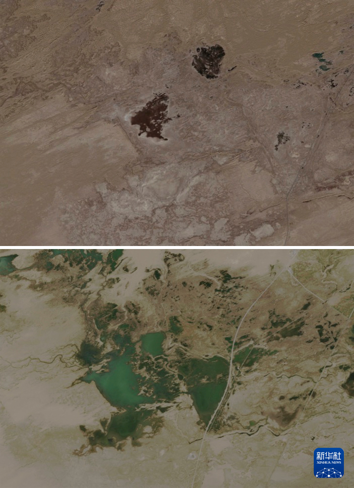 无码人妻少妇色欲AV一区二区