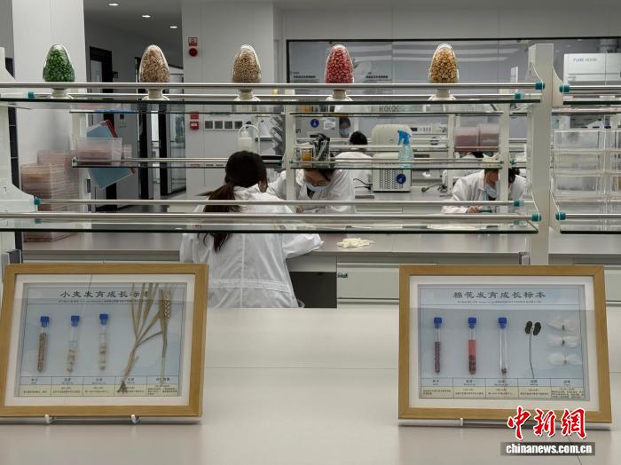 无码人妻少妇色欲AV一区二区