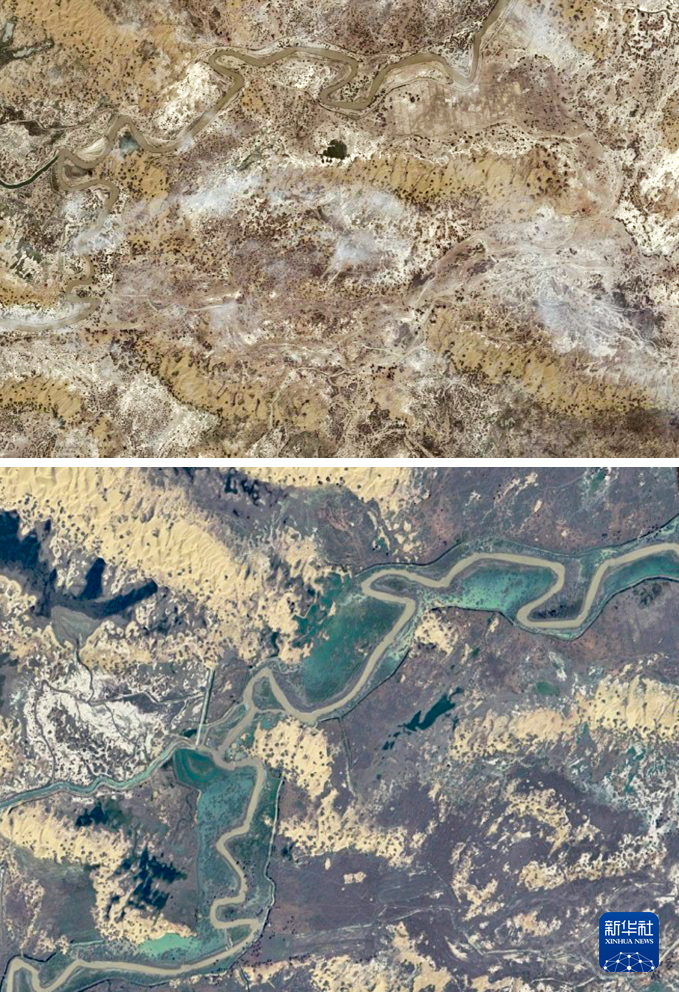 无码人妻少妇色欲AV一区二区