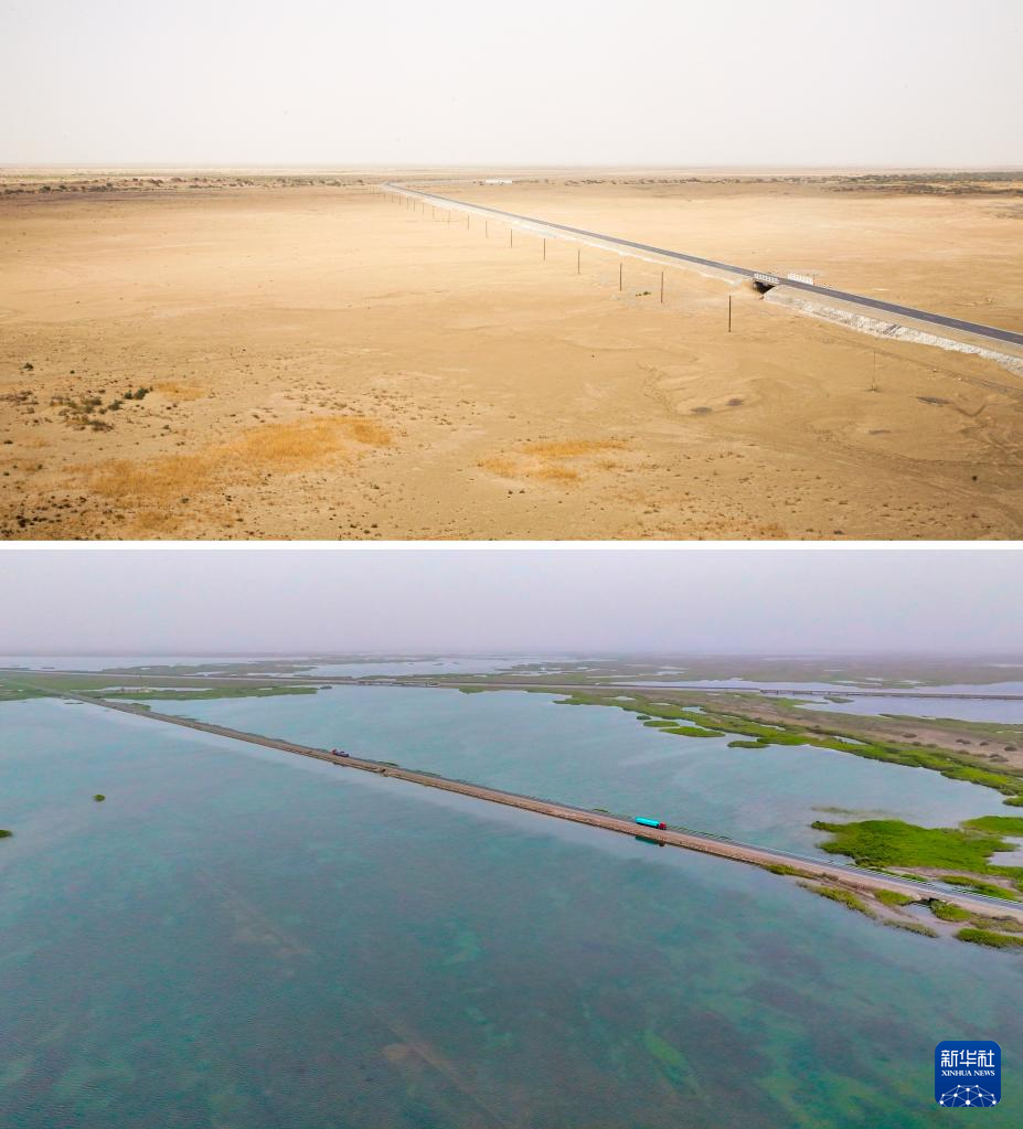 无码人妻少妇色欲AV一区二区