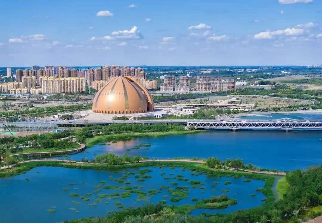 无码人妻少妇色欲AV一区二区