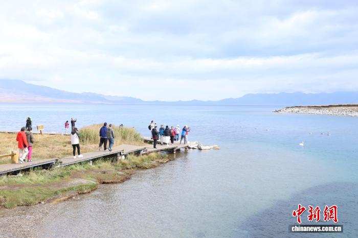 无码人妻少妇色欲AV一区二区