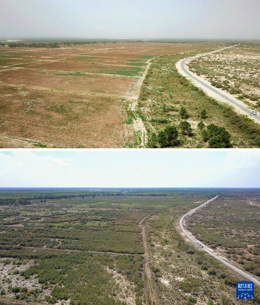 无码人妻少妇色欲AV一区二区