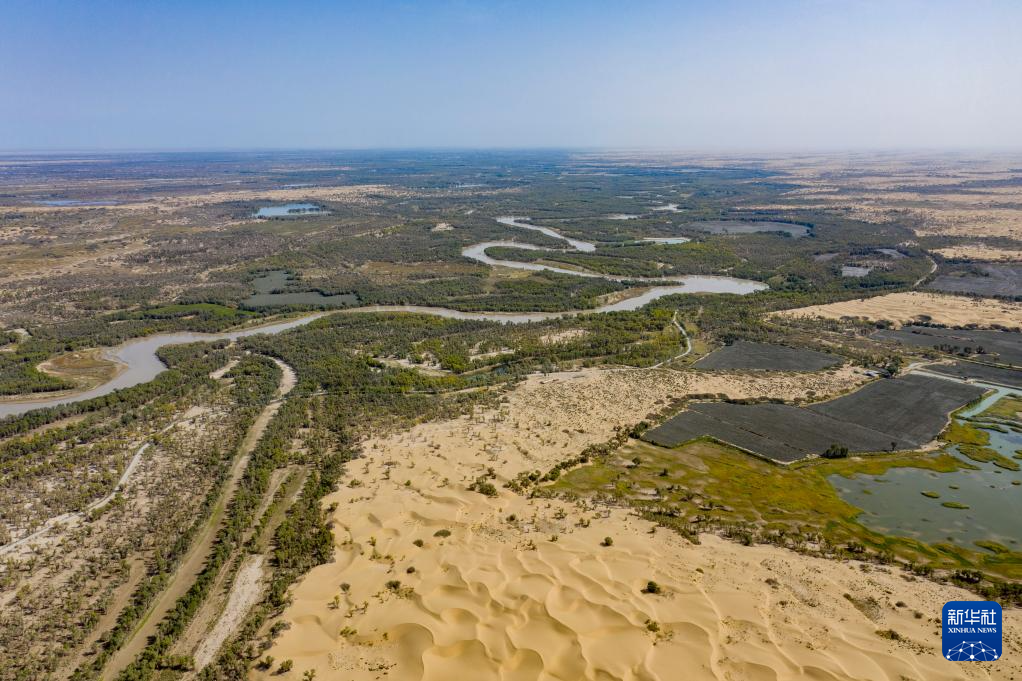 无码人妻少妇色欲AV一区二区