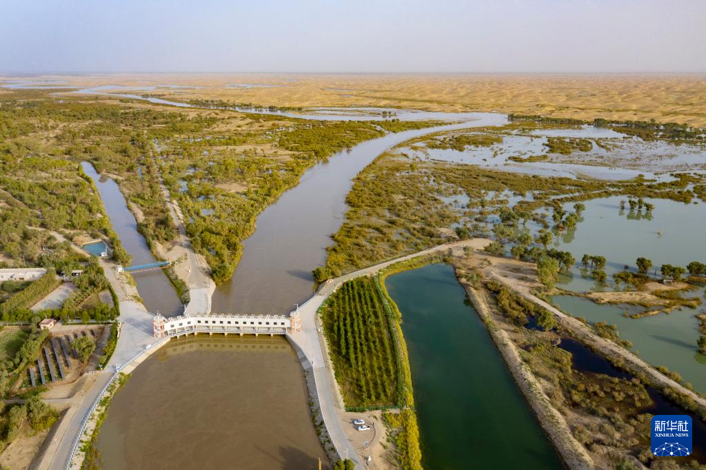 无码人妻少妇色欲AV一区二区