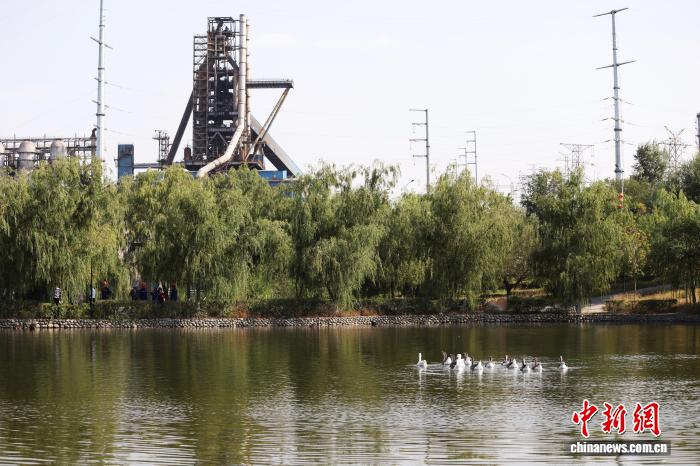 无码人妻少妇色欲AV一区二区