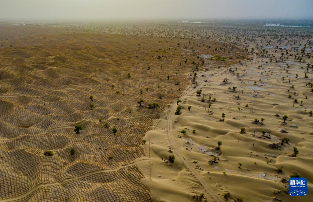 无码人妻少妇色欲AV一区二区