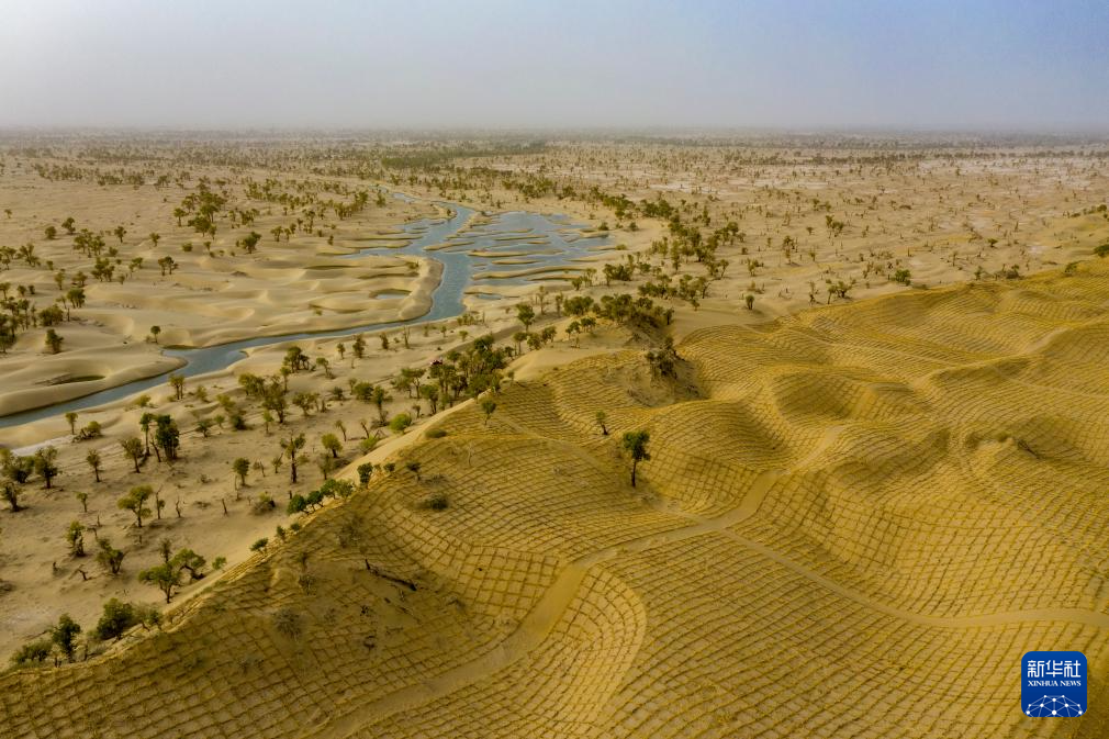 无码人妻少妇色欲AV一区二区