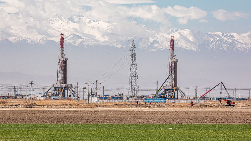 无码人妻少妇色欲AV一区二区