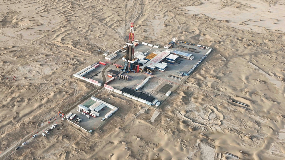 无码人妻少妇色欲AV一区二区