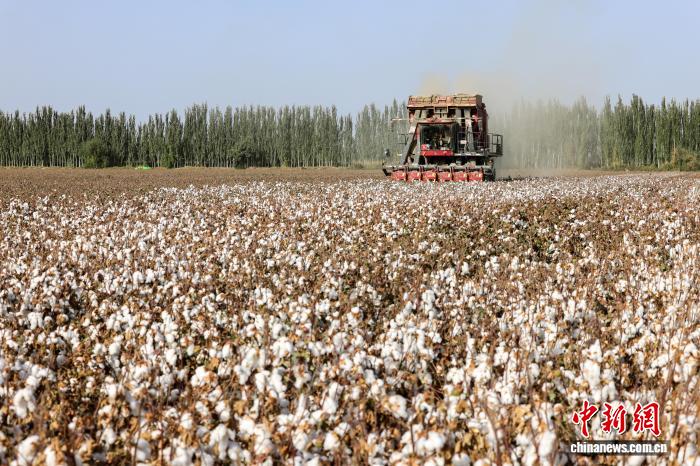 无码人妻少妇色欲AV一区二区