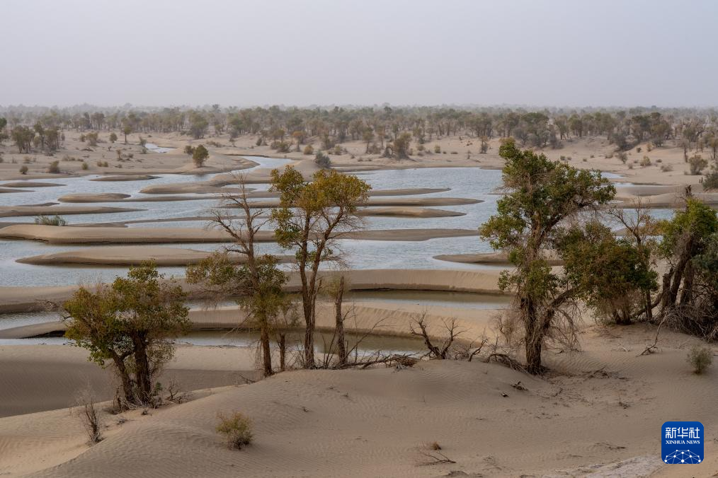 无码人妻少妇色欲AV一区二区