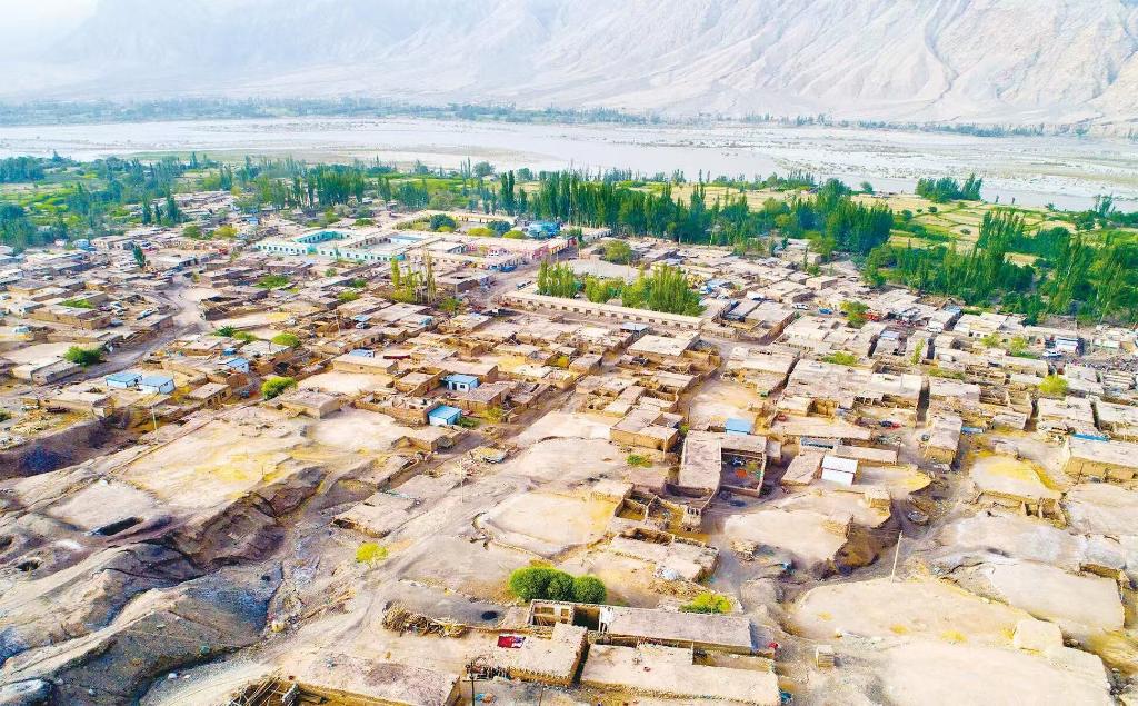 无码人妻少妇色欲AV一区二区