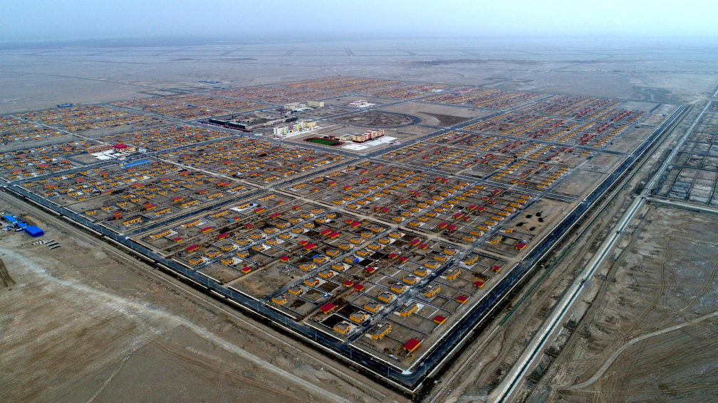 无码人妻少妇色欲AV一区二区