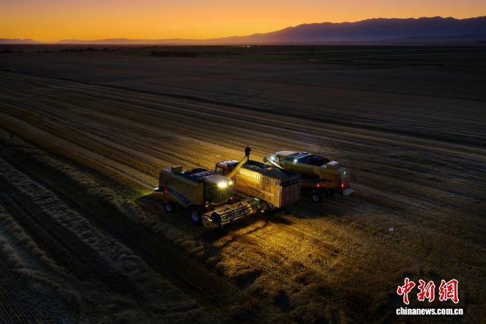 无码人妻少妇色欲AV一区二区