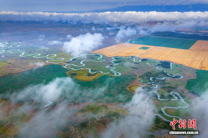 无码人妻少妇色欲AV一区二区