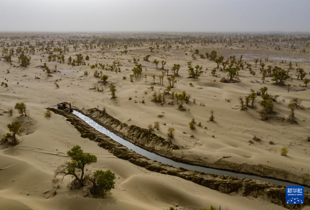 无码人妻少妇色欲AV一区二区