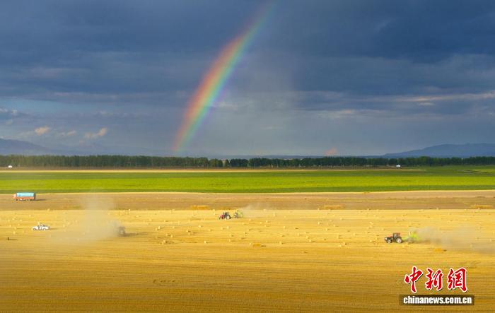 无码人妻少妇色欲AV一区二区