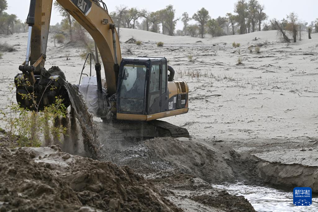 无码人妻少妇色欲AV一区二区