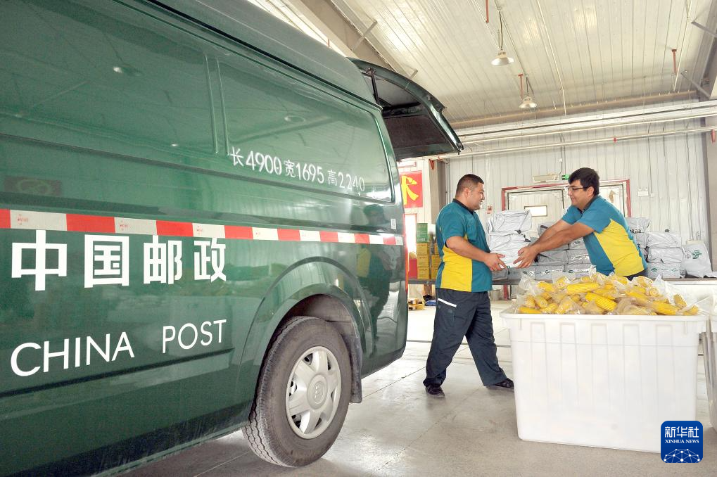 无码人妻少妇色欲AV一区二区