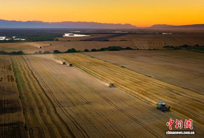 无码人妻少妇色欲AV一区二区