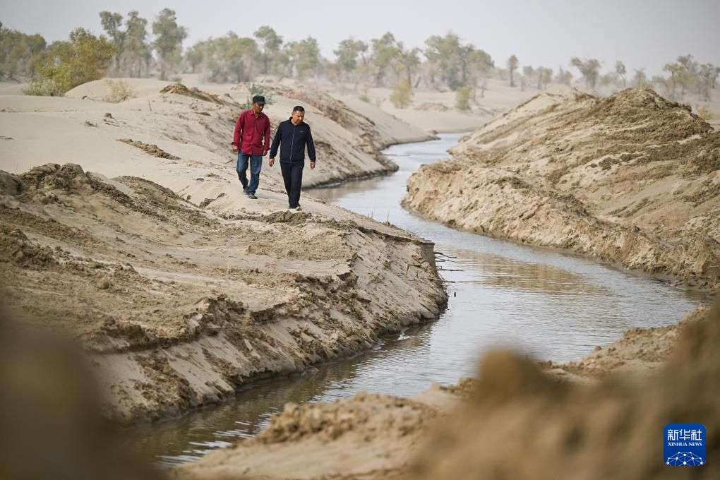 无码人妻少妇色欲AV一区二区