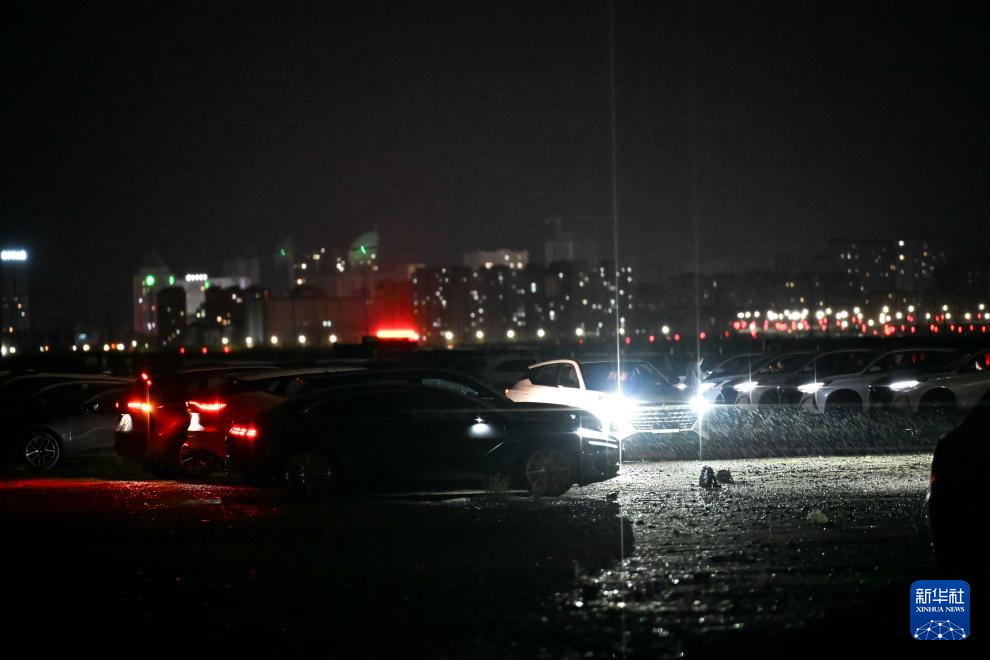 无码人妻少妇色欲AV一区二区