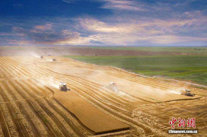 无码人妻少妇色欲AV一区二区