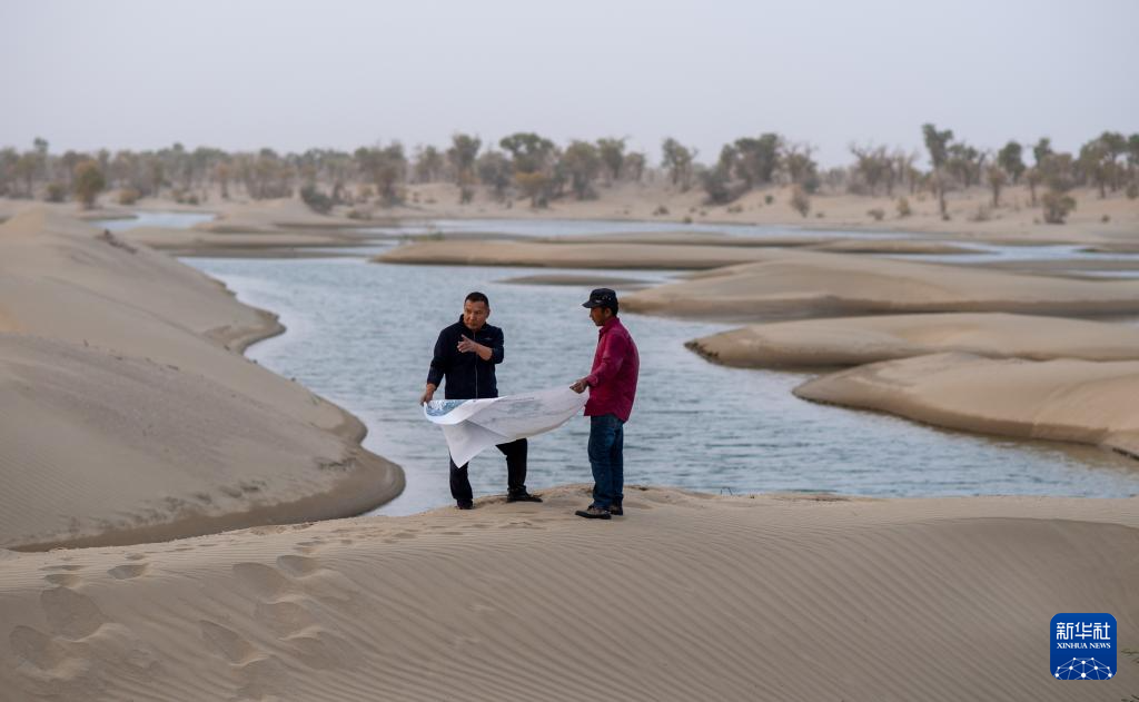 无码人妻少妇色欲AV一区二区