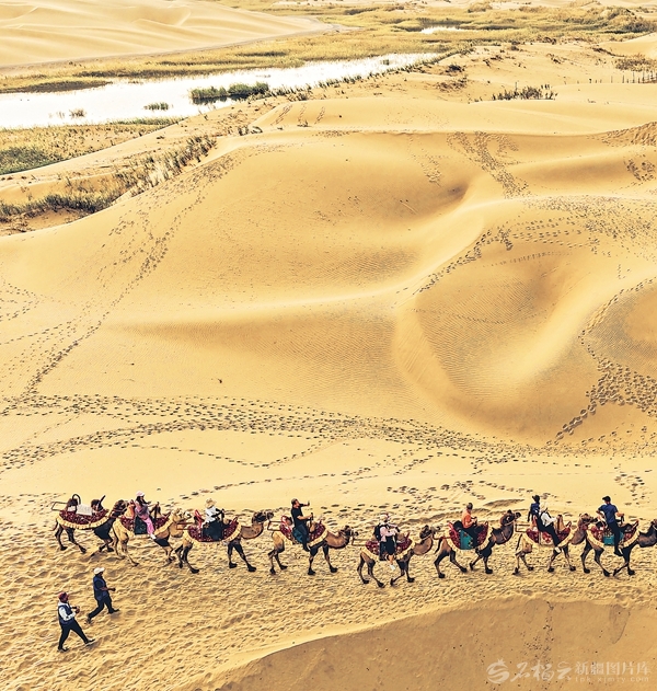 无码人妻少妇色欲AV一区二区