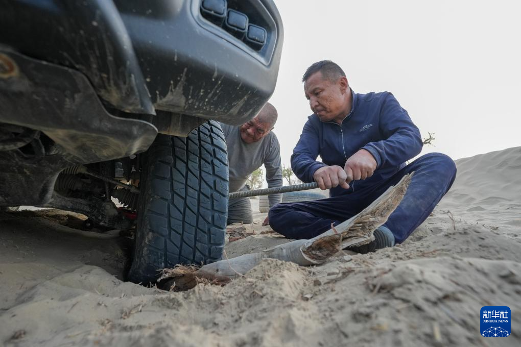 无码人妻少妇色欲AV一区二区