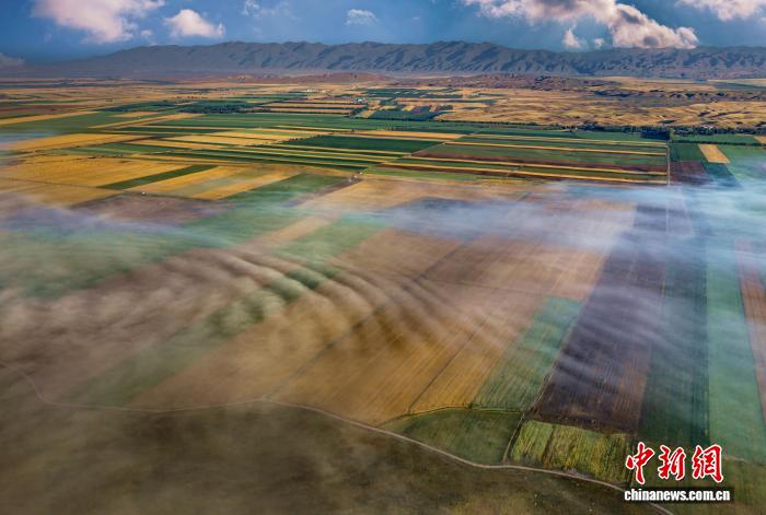 无码人妻少妇色欲AV一区二区