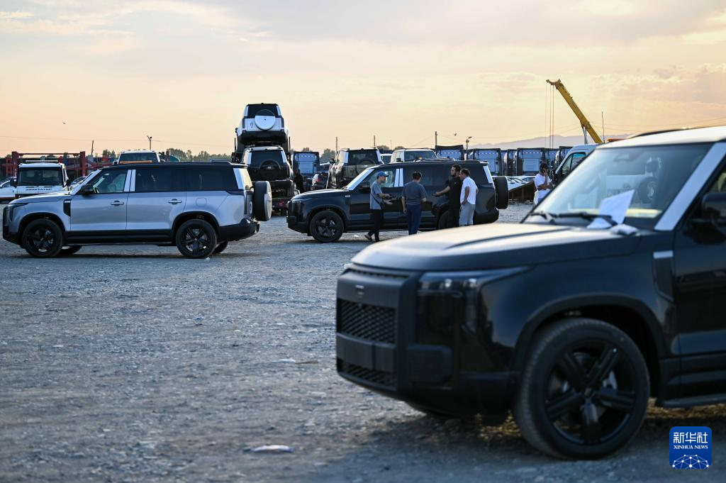 无码人妻少妇色欲AV一区二区