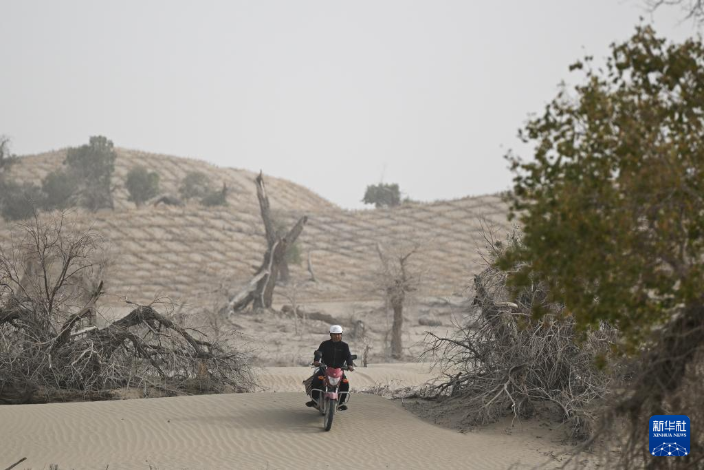 无码人妻少妇色欲AV一区二区